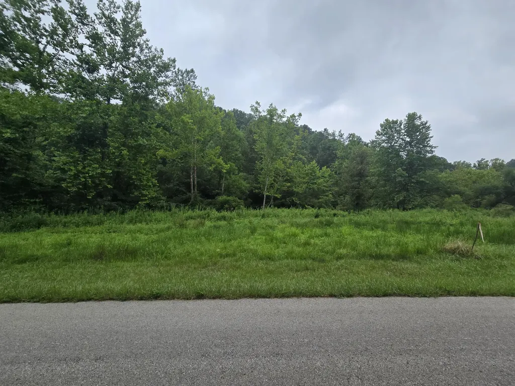 Lot 1, 2, 3, 4 High Rock Road Stanton KY 40380