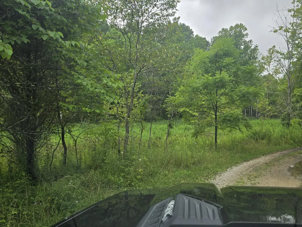 Lot 1, 2, 3, 4 High Rock Road Stanton KY 40380