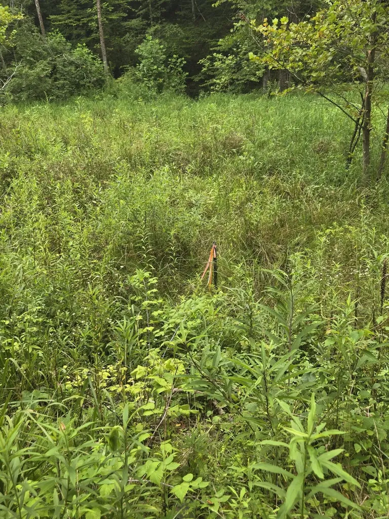 Lot 1, 2, 3, 4 High Rock Road Stanton KY 40380