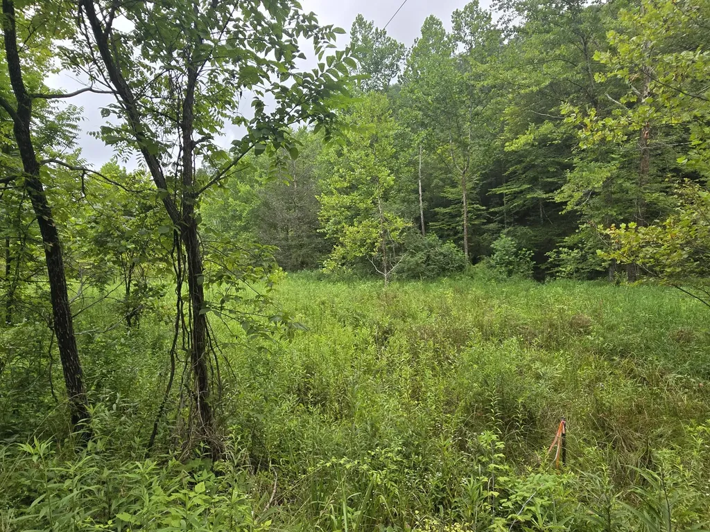 Lot 1, 2, 3, 4 High Rock Road Stanton KY 40380
