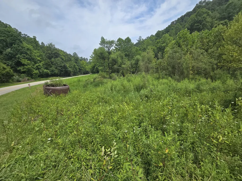 Lot 1, 2, 3, 4 High Rock Road Stanton KY 40380