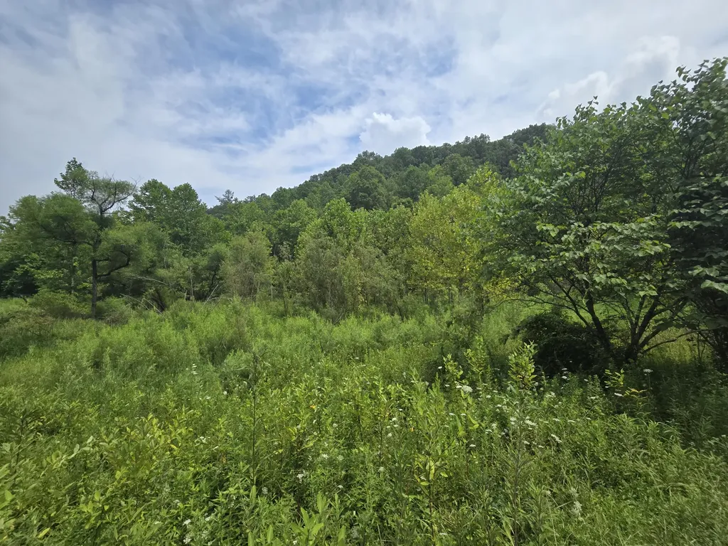 Lot 1, 2, 3, 4 High Rock Road Stanton KY 40380