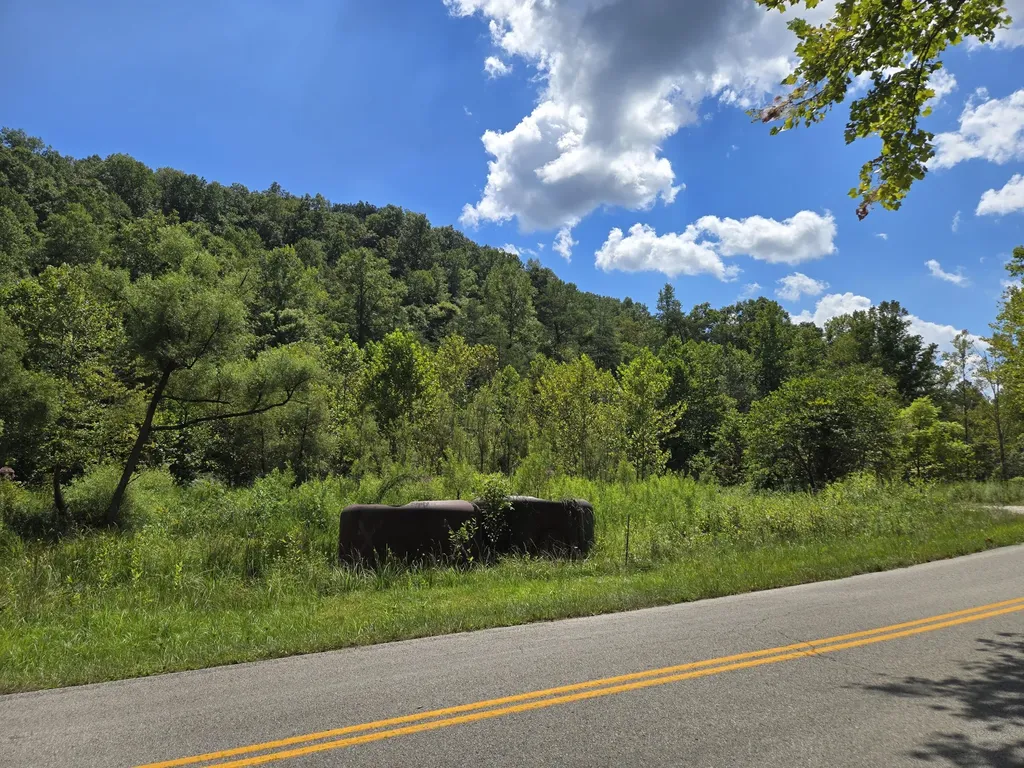 Lot 1, 2, 3, 4 High Rock Road Stanton KY 40380