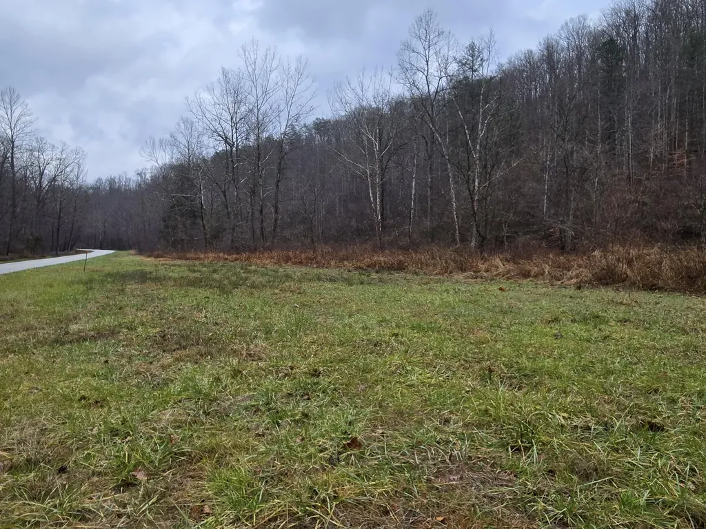 Lot 1, 2, 3, 4 High Rock Road Stanton KY 40380