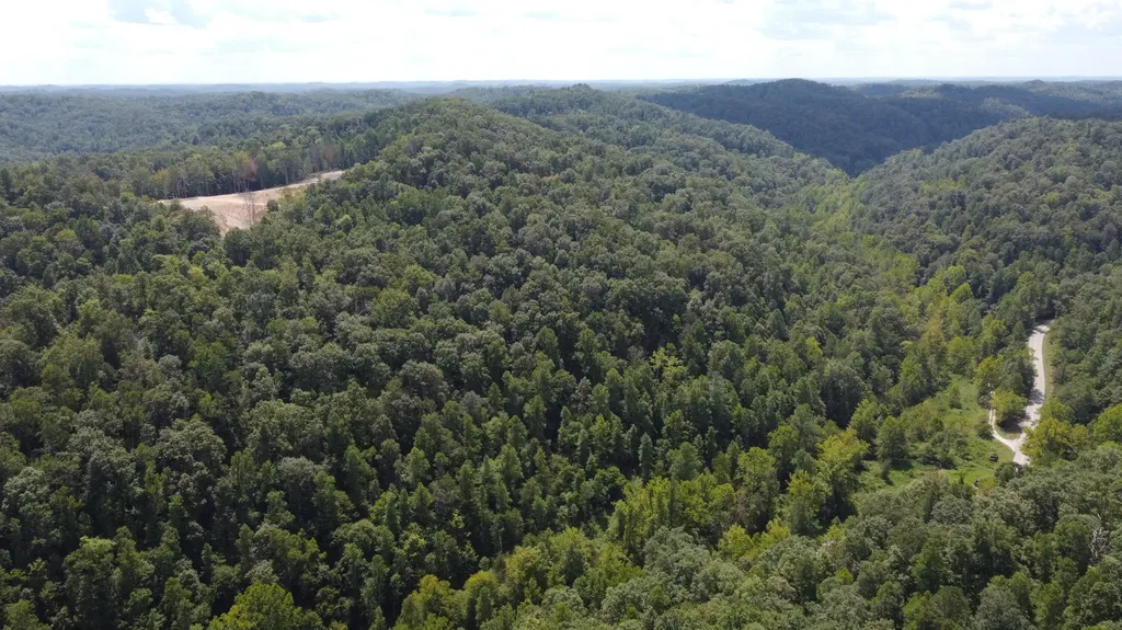 Lot 1, 2, 3, 4 High Rock Road Stanton KY 40380