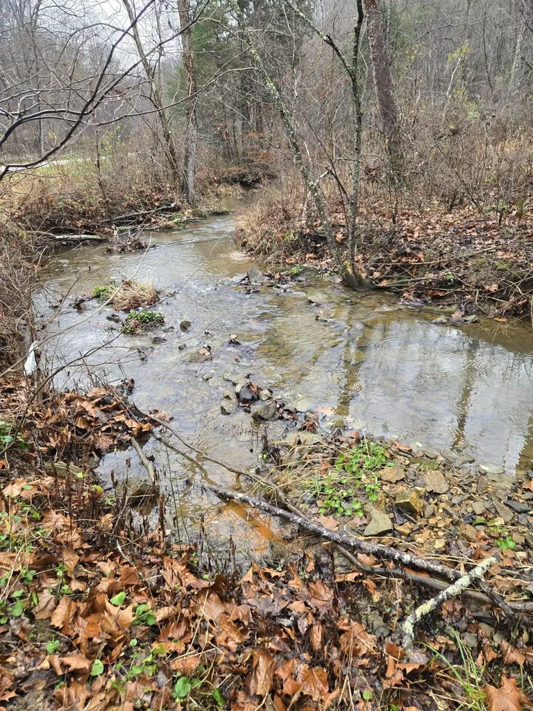 Lot 1, 2, 3, 4 High Rock Road Stanton KY 40380
