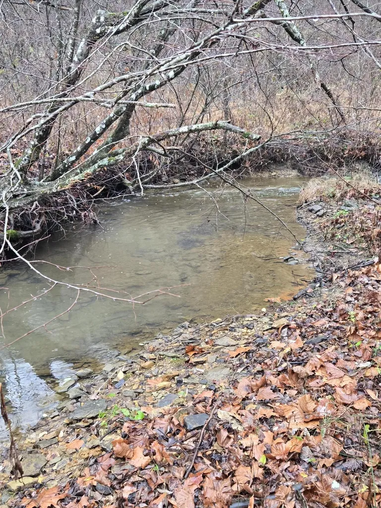 Lot 1, 2, 3, 4 High Rock Road Stanton KY 40380