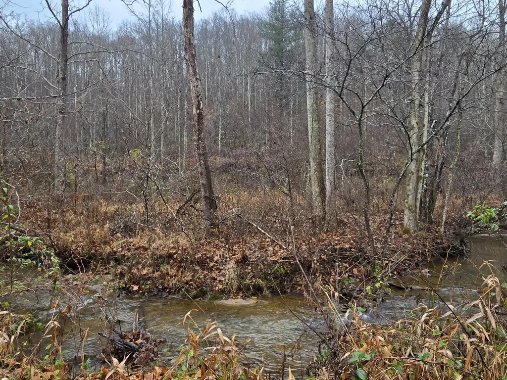 Lot 1, 2, 3, 4 High Rock Road Stanton KY 40380