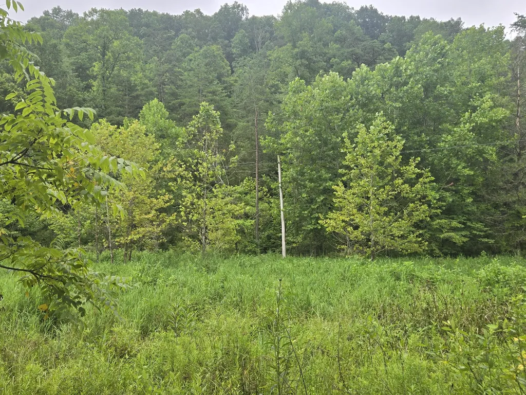 Lot 1, 2, 3, 4 High Rock Road Stanton KY 40380