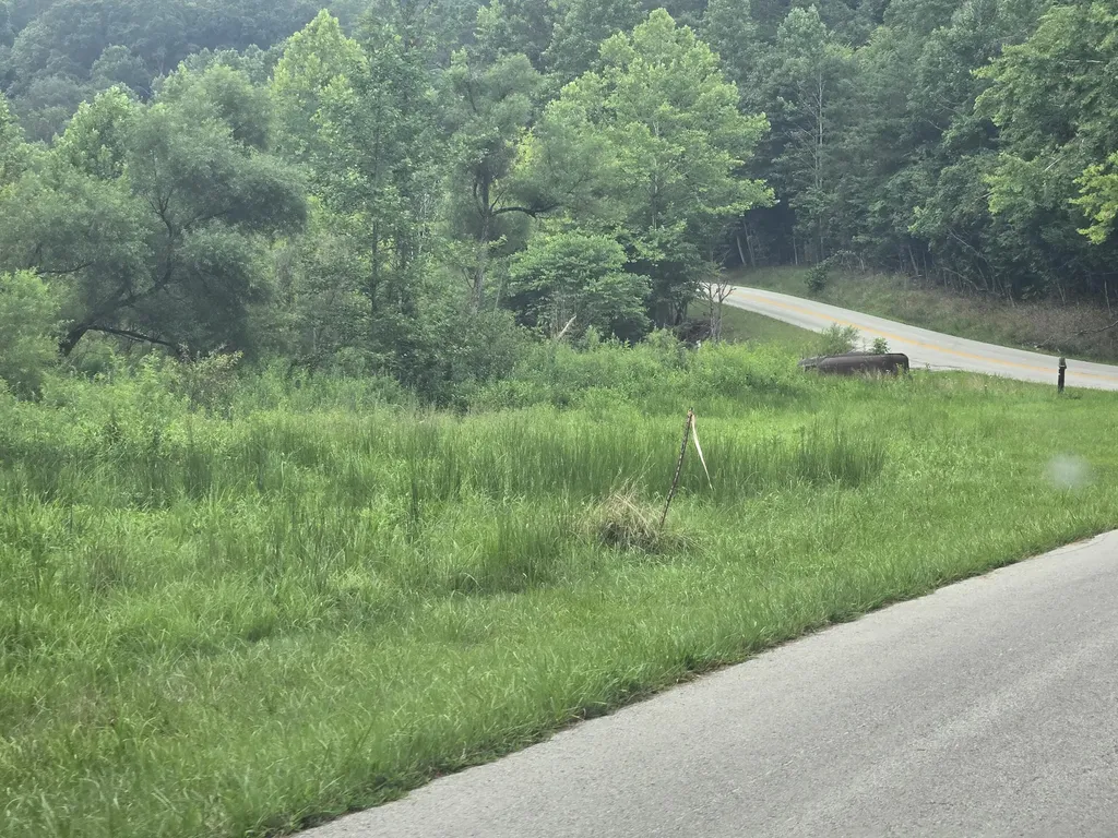 Lot 1, 2, 3, 4 High Rock Road Stanton KY 40380