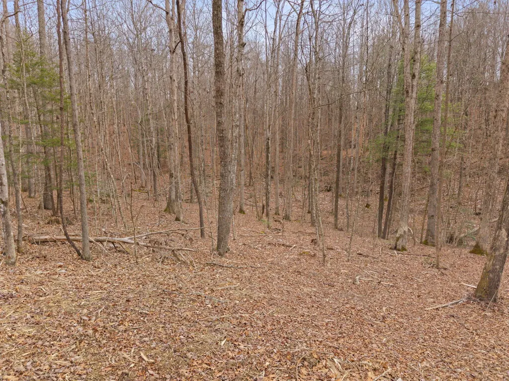130 Eureka Loop Zoe KY 41397