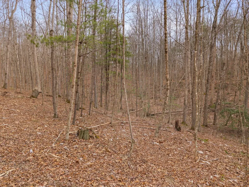 130 Eureka Loop Zoe KY 41397