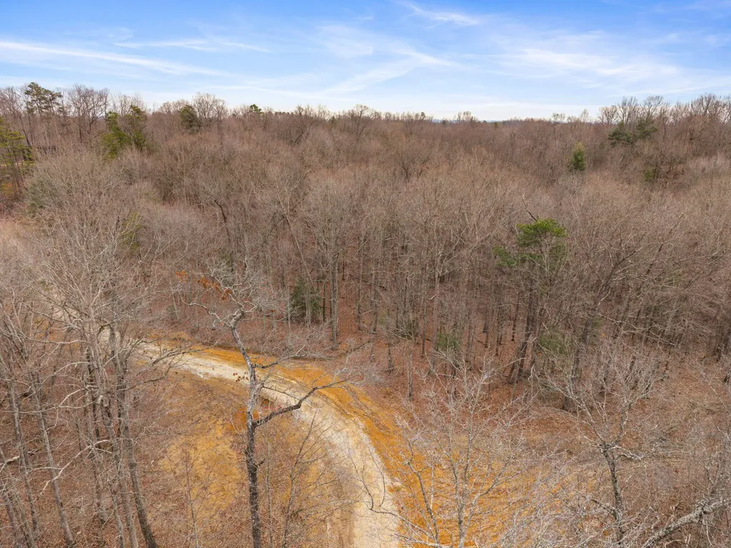 130 Eureka Loop Zoe KY 41397