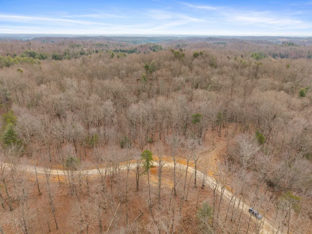 130 Eureka Loop Zoe KY 41397