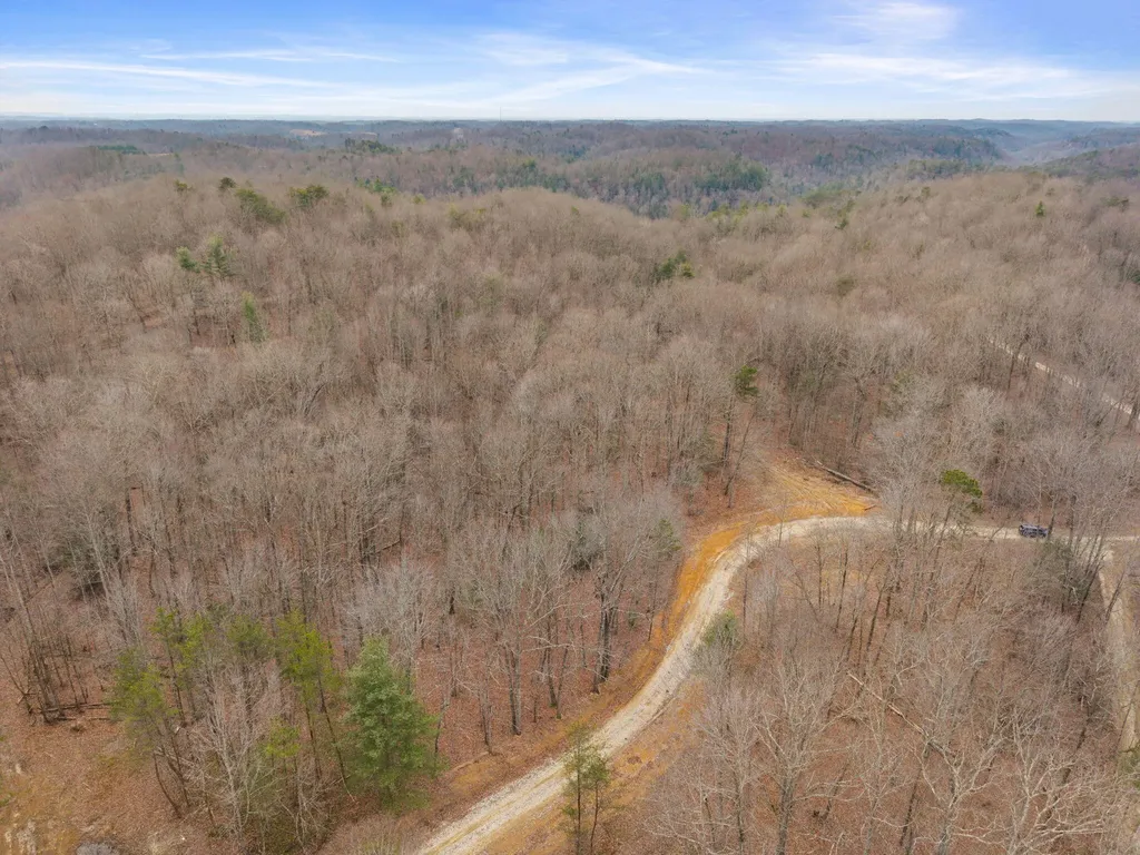 130 Eureka Loop Zoe KY 41397