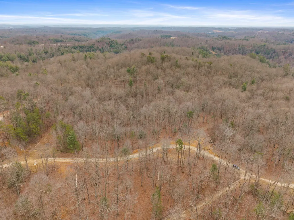 130 Eureka Loop Zoe KY 41397