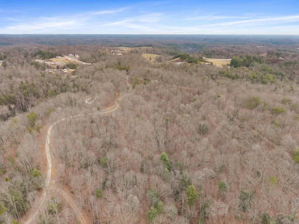 130 Eureka Loop Zoe KY 41397