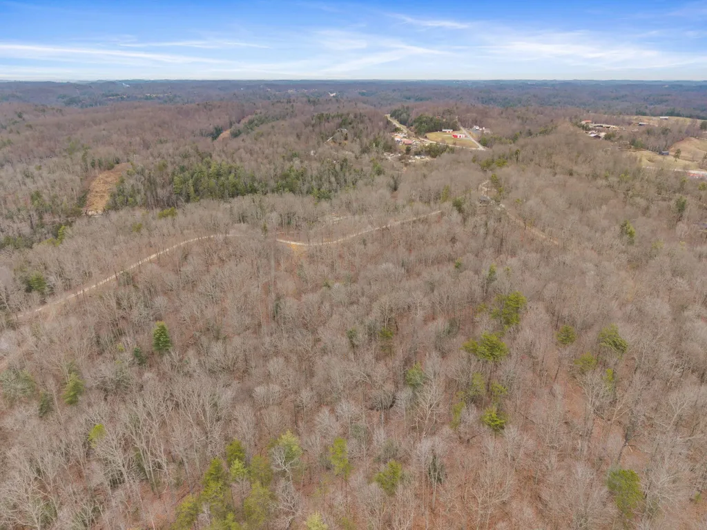 130 Eureka Loop Zoe KY 41397