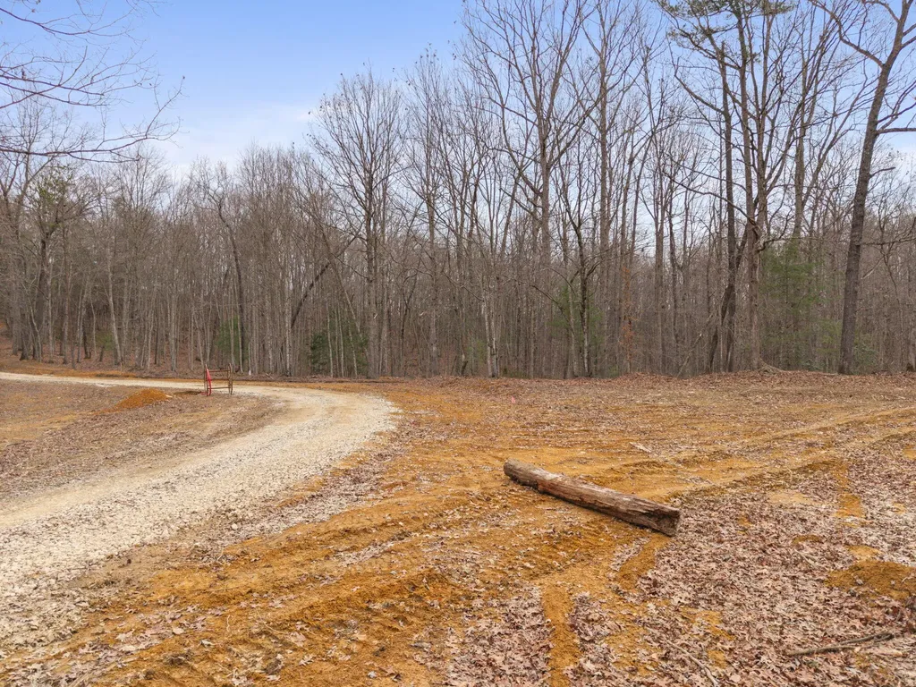 130 Eureka Loop Zoe KY 41397