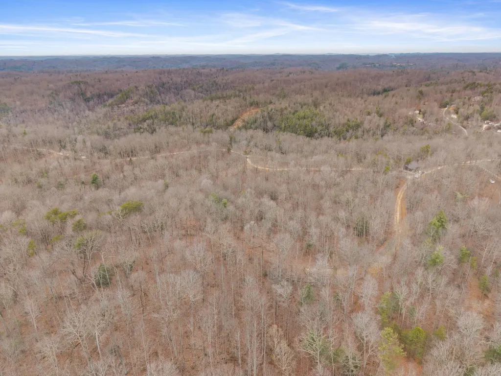 130 Eureka Loop Zoe KY 41397