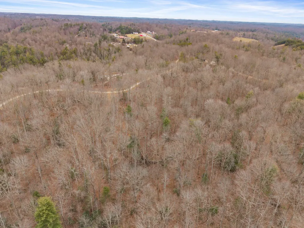 130 Eureka Loop Zoe KY 41397