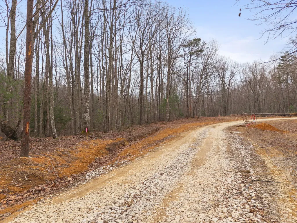 130 Eureka Loop Zoe KY 41397