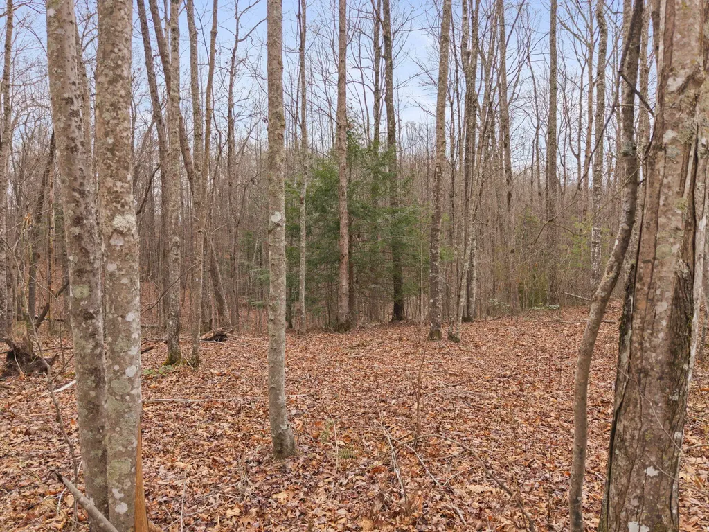 130 Eureka Loop Zoe KY 41397