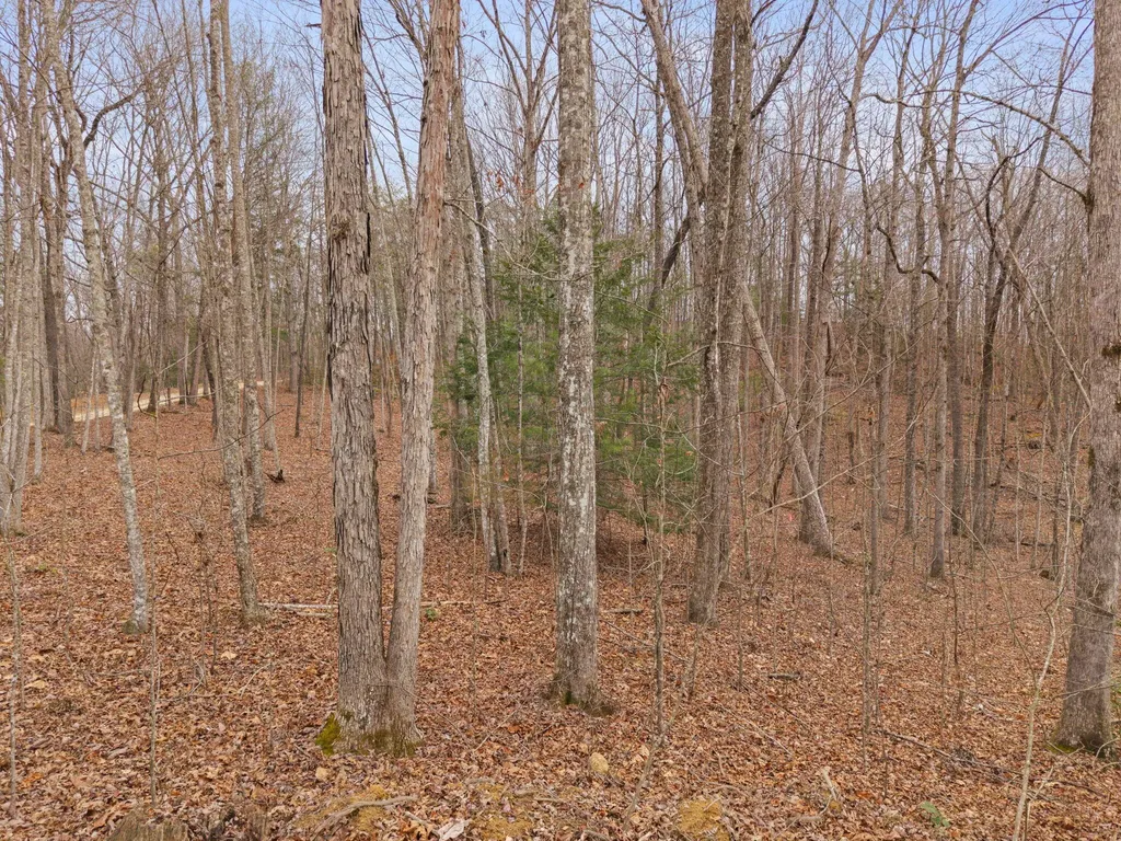 130 Eureka Loop Zoe KY 41397