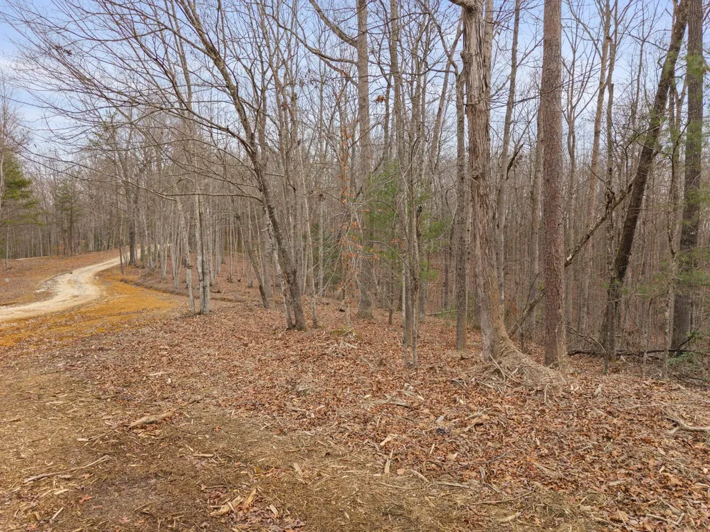 130 Eureka Loop Zoe KY 41397