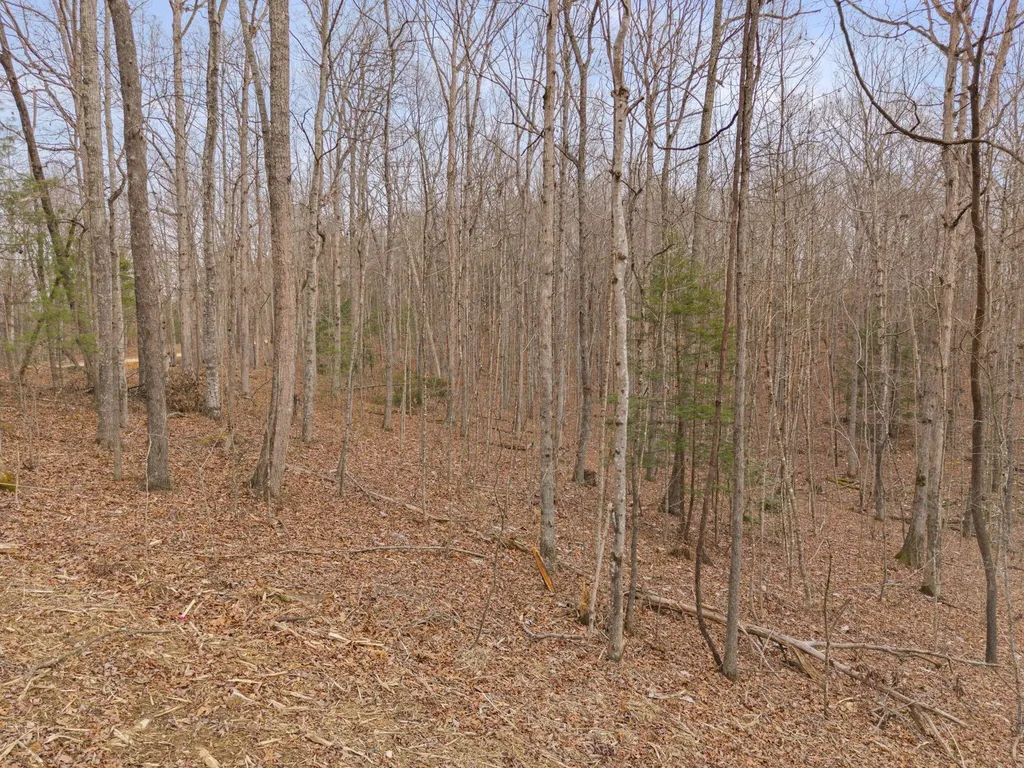 130 Eureka Loop Zoe KY 41397