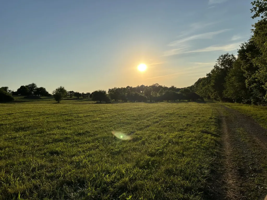 201 Appaloosa Trail Wilmore KY 40390