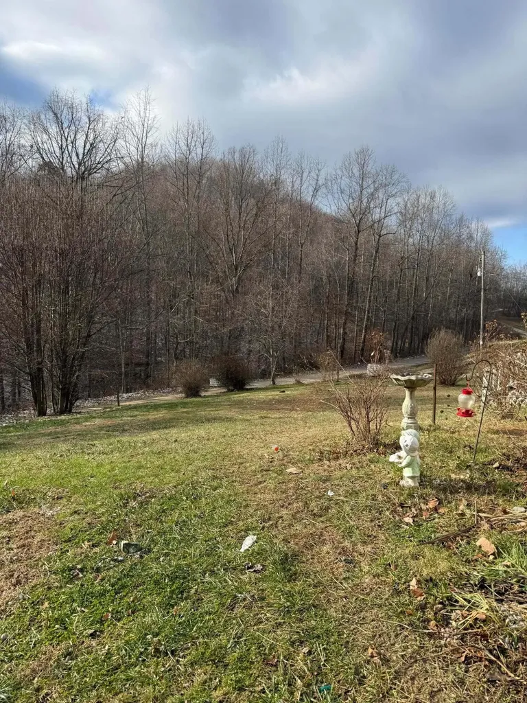 1240 Finger Board Road Vanceburg KY 41179