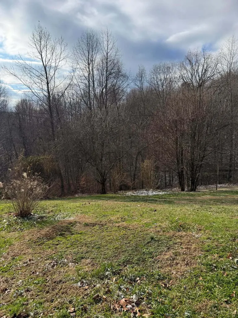 1240 Finger Board Road Vanceburg KY 41179