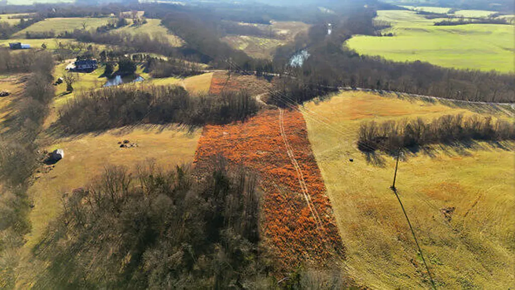 Tract 2-l Yoder Tipon Road Taylorsville KY 40071