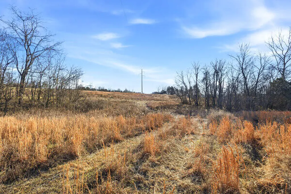 Tract 2-l Yoder Tipon Road Taylorsville KY 40071