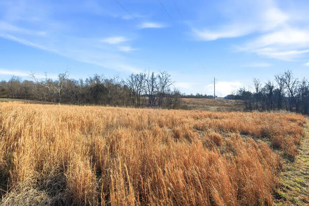 Tract 2-l Yoder Tipon Road Taylorsville KY 40071