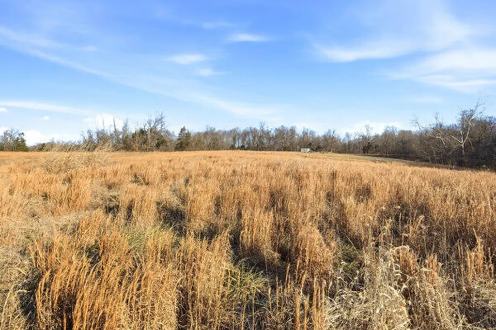 Tract 2-l Yoder Tipon Road Taylorsville KY 40071