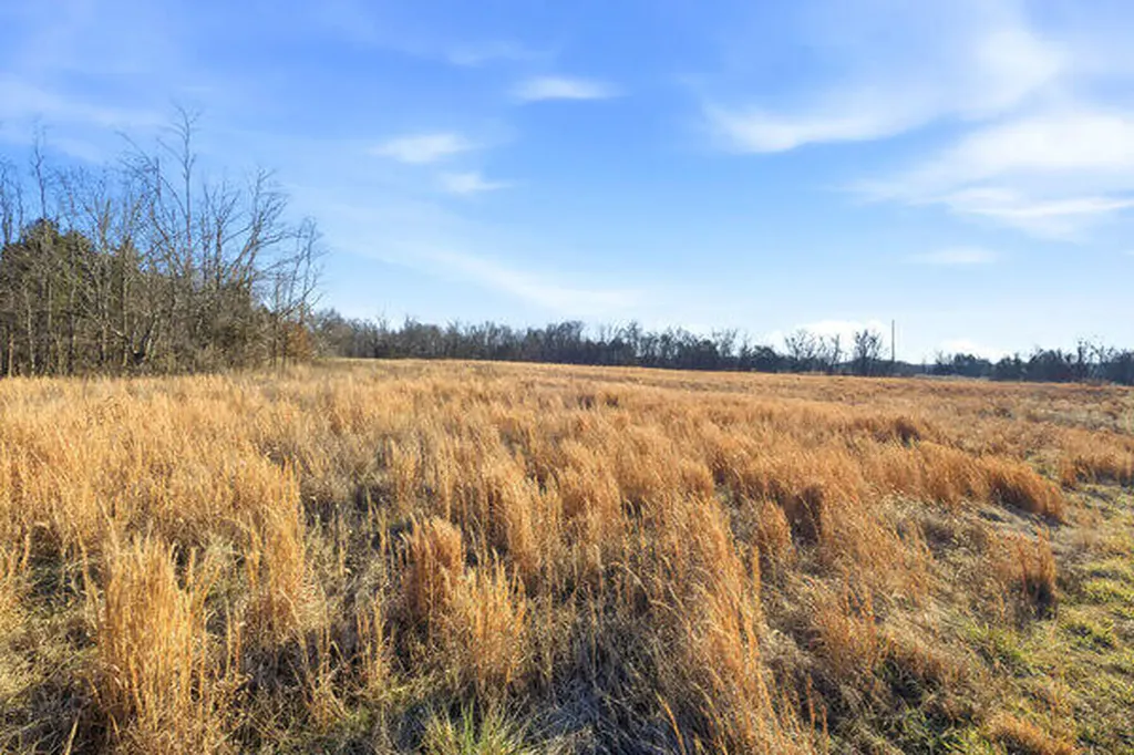 Tract 2-l Yoder Tipon Road Taylorsville KY 40071