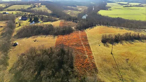 Tract 2-L Yoder Tipon Road Taylorsville KY 40071