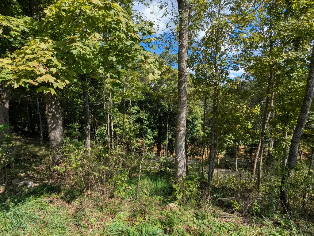3013 Centerview Rough River Lane Hudson KY 40145