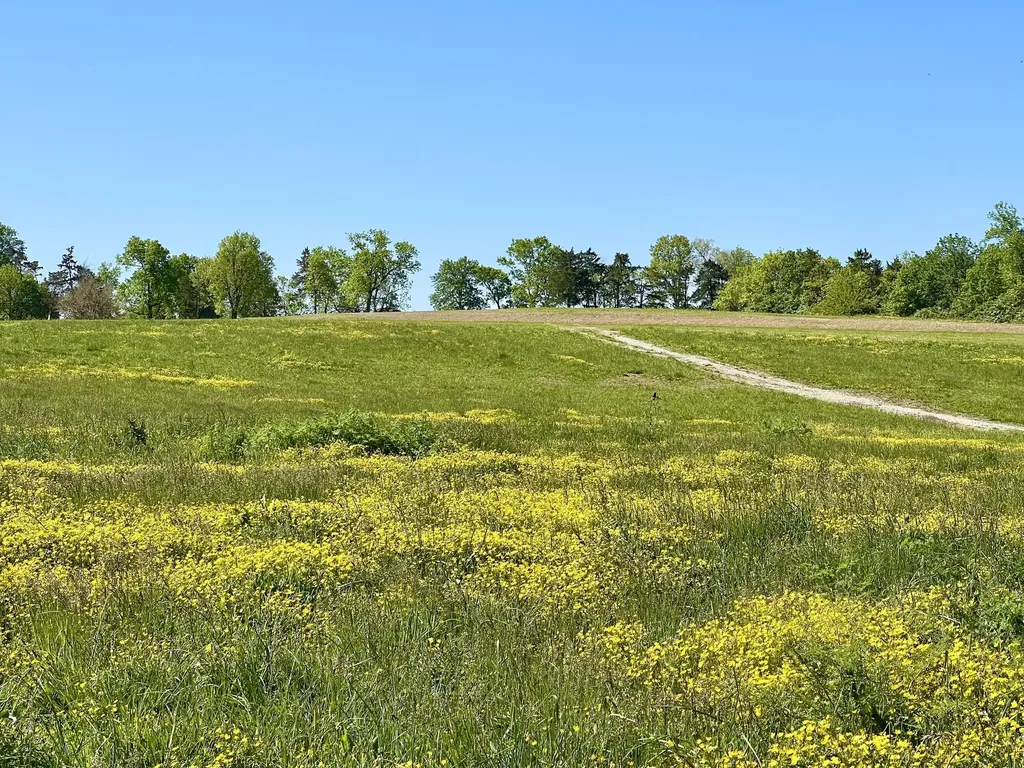 401 Appaloosa Trail Wilmore KY 40390