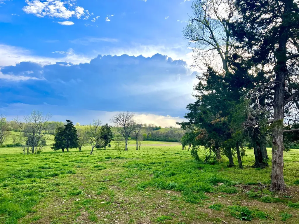 306 Appaloosa Trail Wilmore KY 40390
