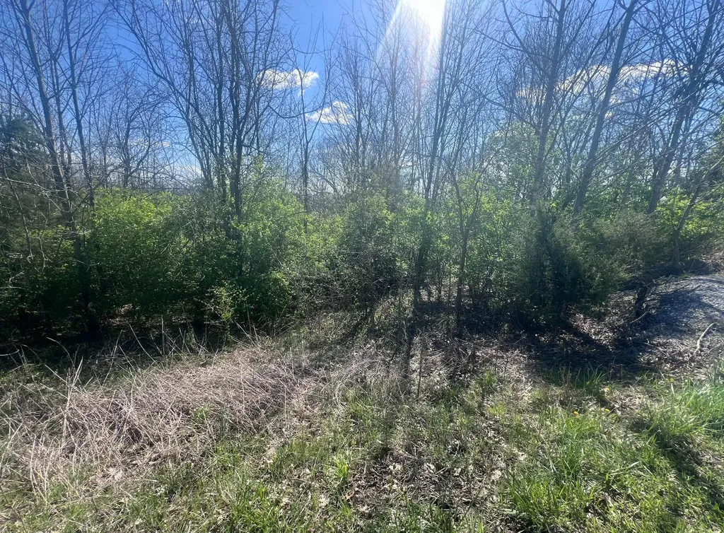 0 Tom Hackley Road Stanford KY 40484