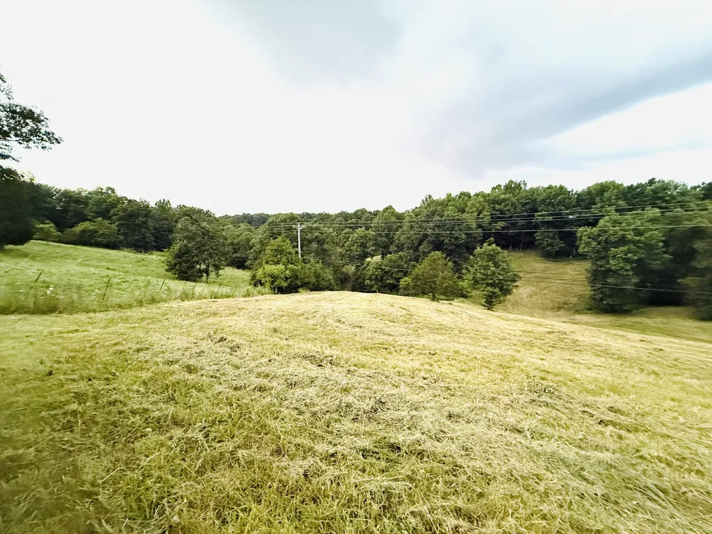 1231 Pleasant Grove Ridge Road Lawrenceburg KY 40342