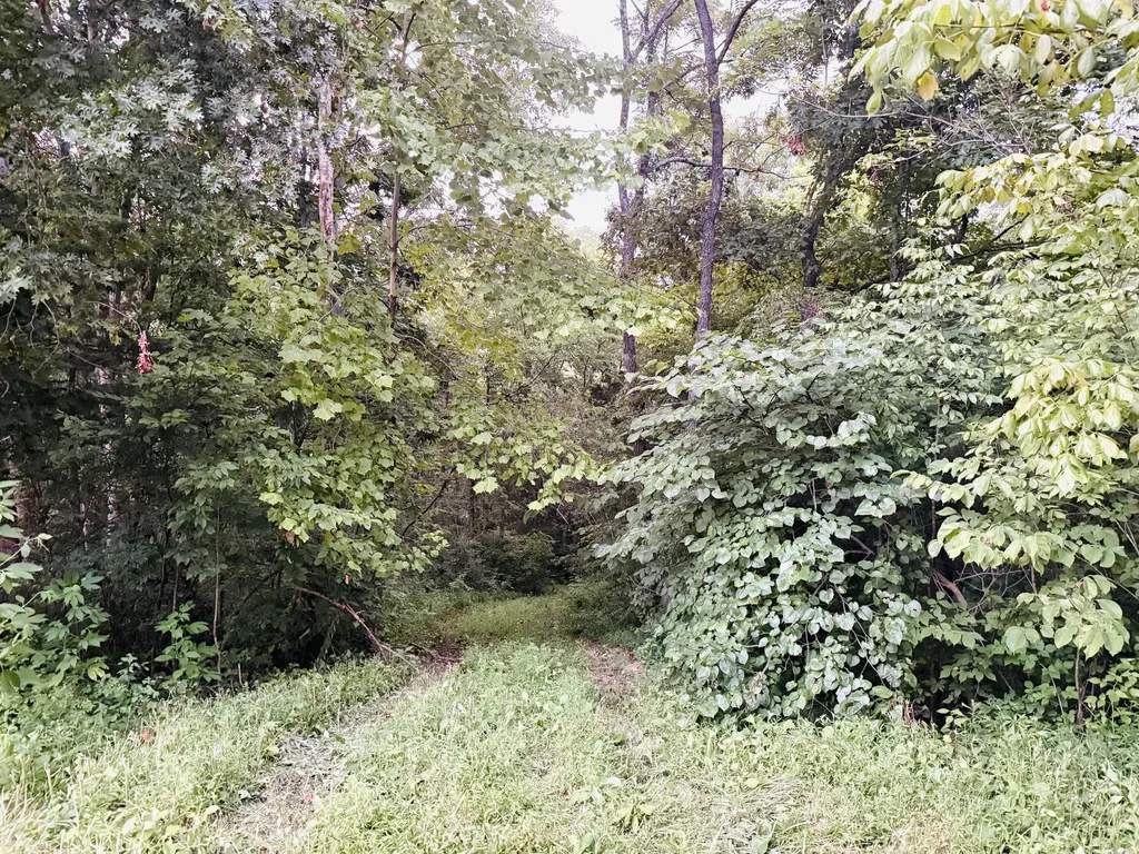 1231 Pleasant Grove Ridge Road Lawrenceburg KY 40342