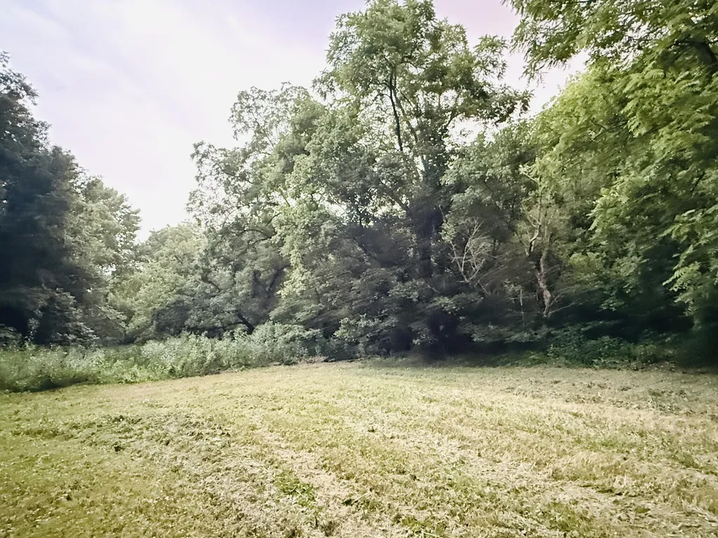 1231 Pleasant Grove Ridge Road Lawrenceburg KY 40342