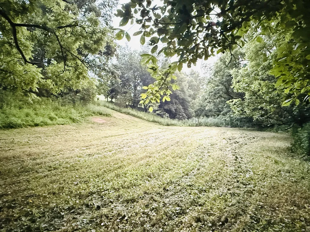 1231 Pleasant Grove Ridge Road Lawrenceburg KY 40342