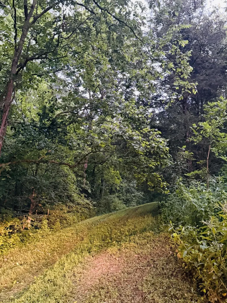 1231 Pleasant Grove Ridge Road Lawrenceburg KY 40342