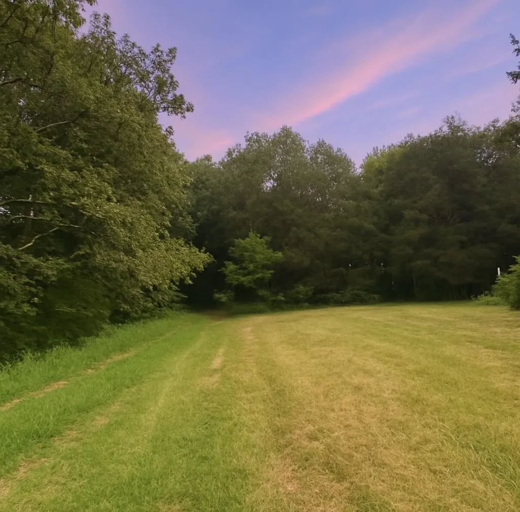 1231 Pleasant Grove Ridge Road Lawrenceburg KY 40342