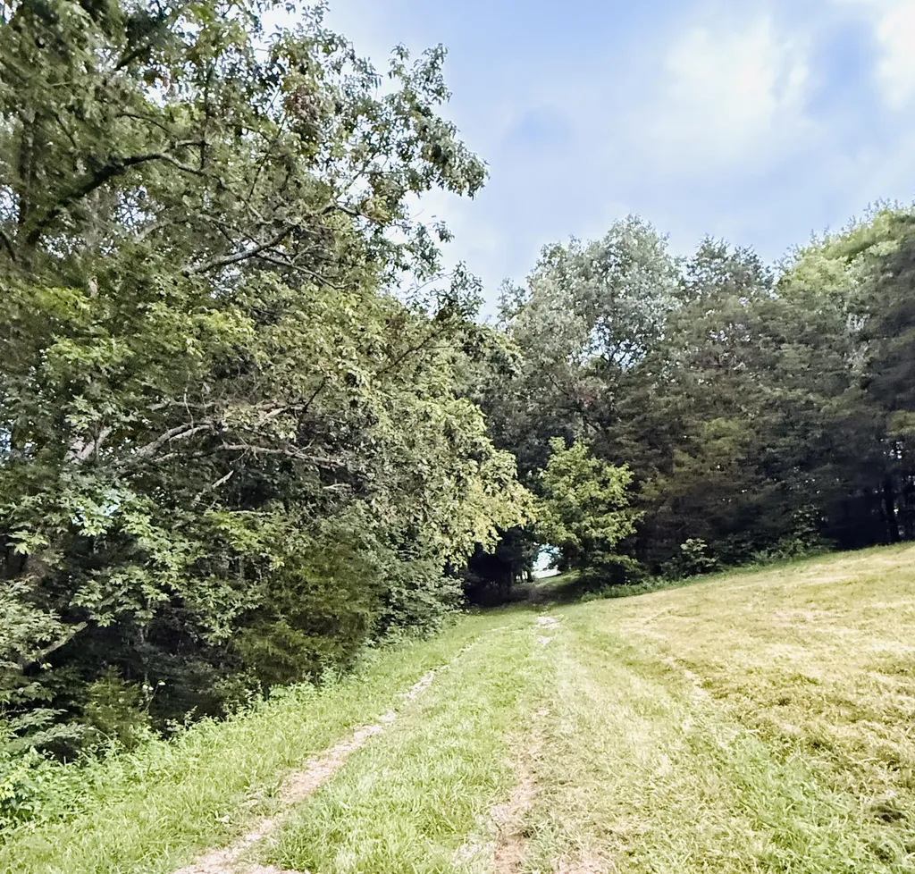 1231 Pleasant Grove Ridge Road Lawrenceburg KY 40342
